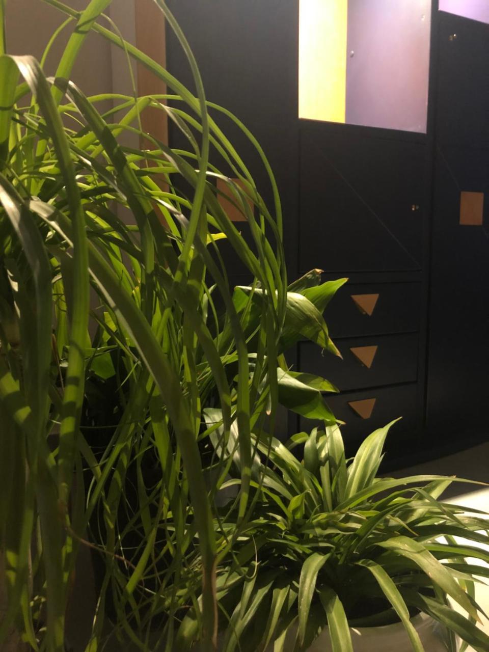 Smln Rooms & Suites Νάπολη Εξωτερικό φωτογραφία